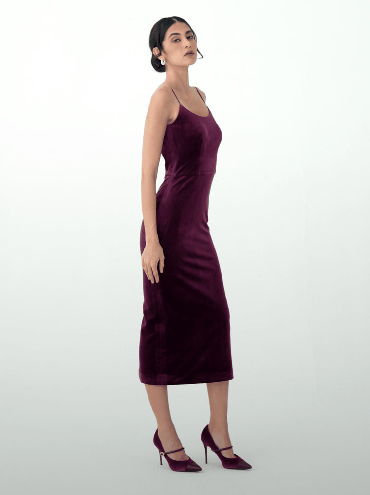 Royal Wine - MOONMAINS EGY